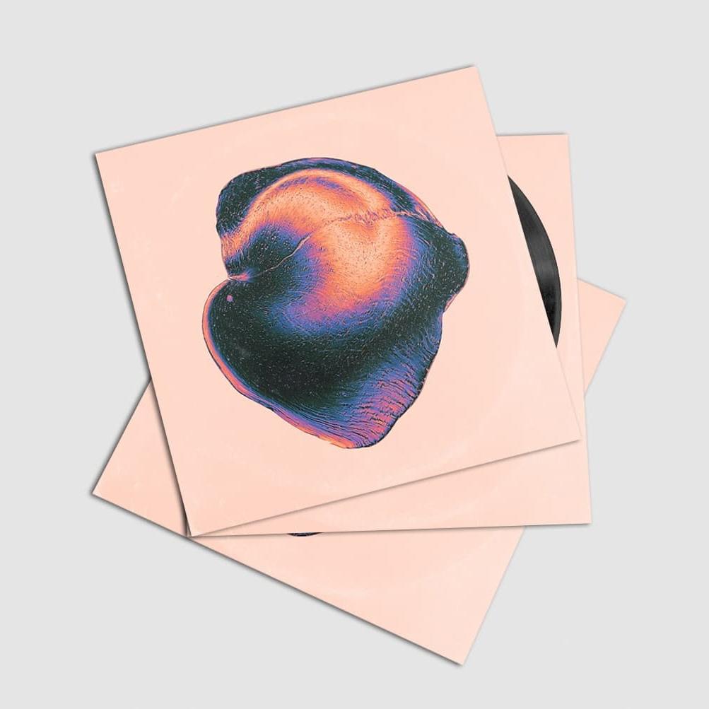 Paxaurora_Nadiastruiwigh Paxaurora_Nadiastruiwigh